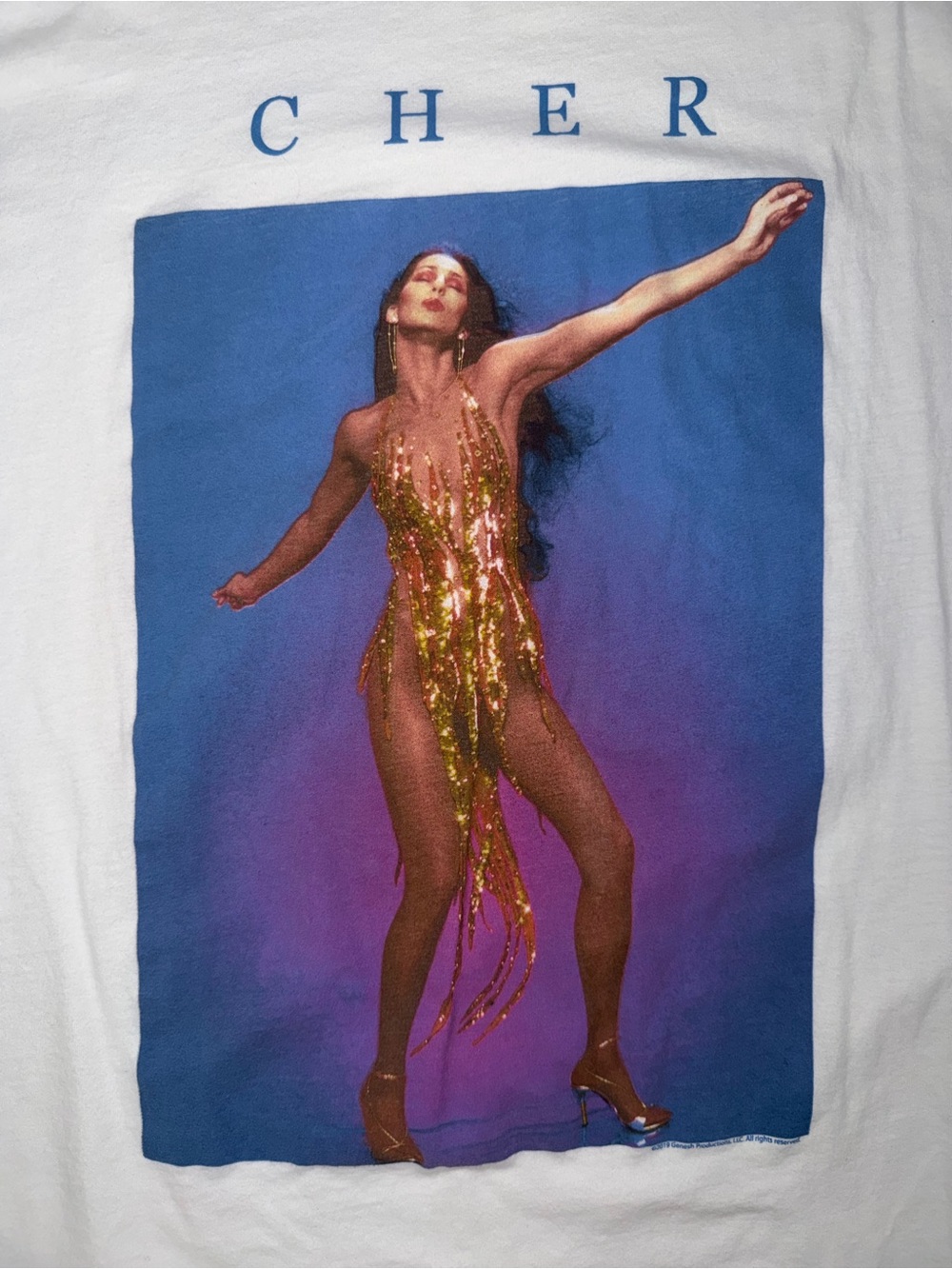 Cher cotton band tshirt